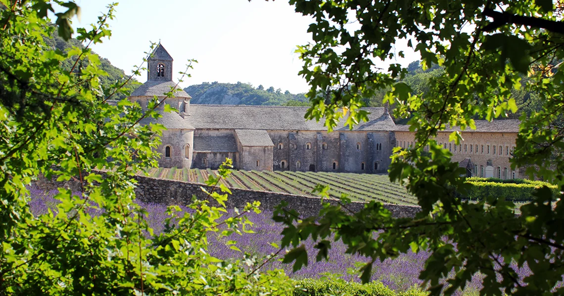francia abbazia lavanda
