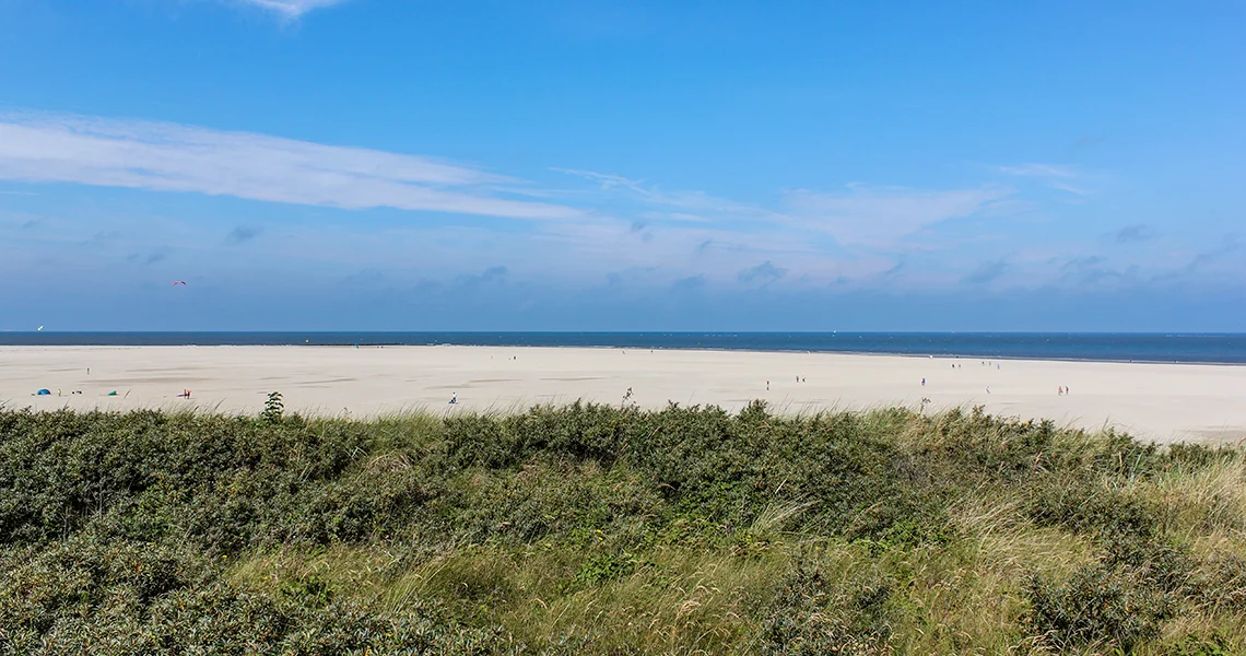 netherland texel spiaggia