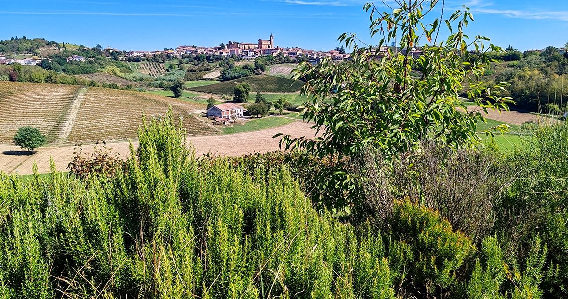 cosa vedere nel monferrato