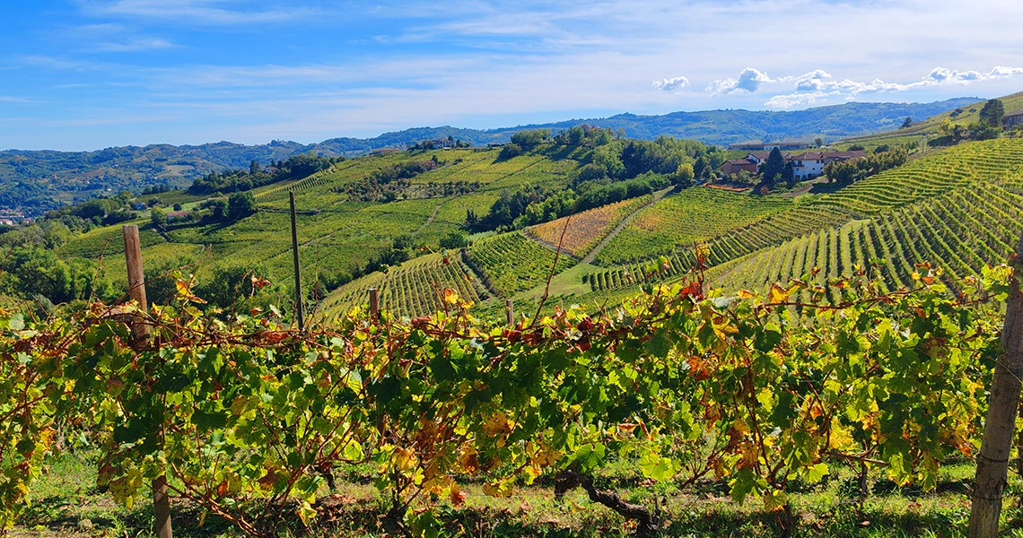 vigneti da vedere nel monferrato