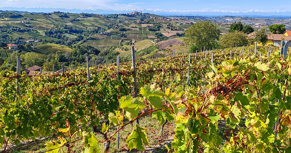 panorami da vedere nel monferrato