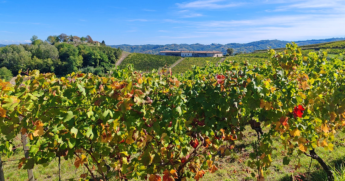 cosa vedere nel monferrato
