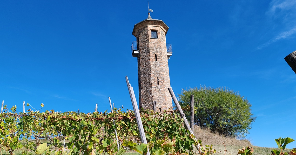 torre dei contini canelli