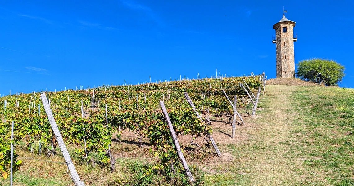 cosa vedere nel monferrato torre