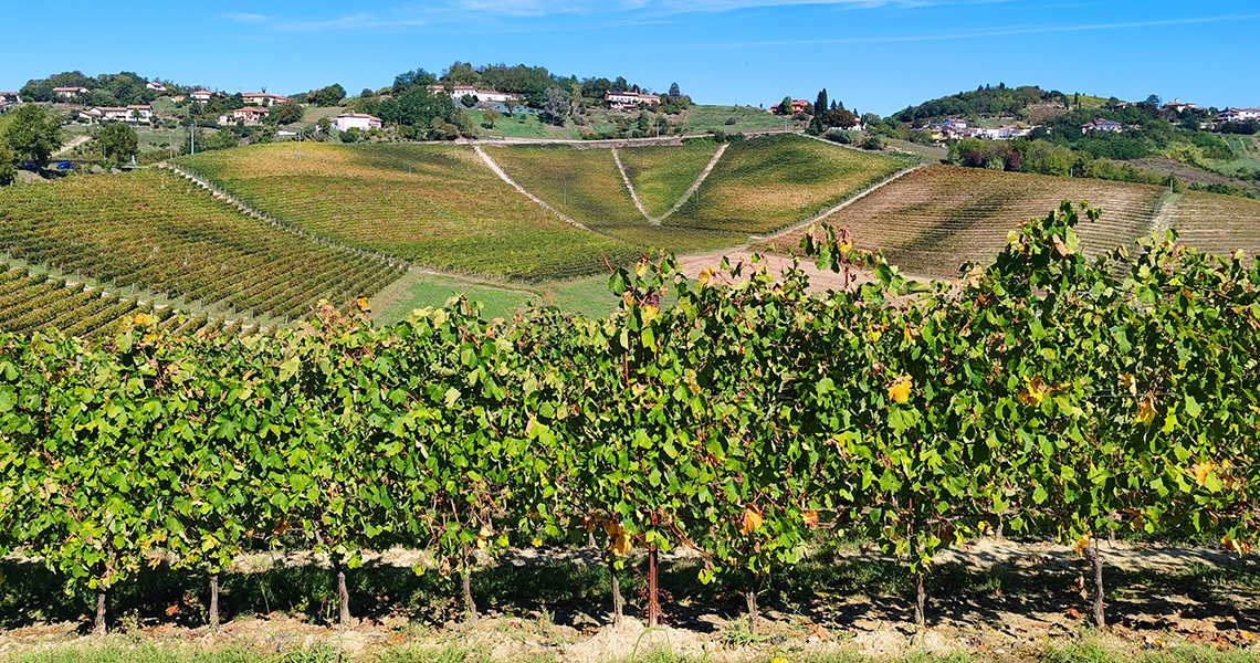 cosa vedere nel monferrato